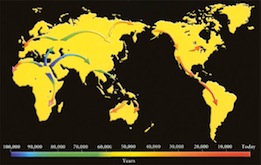 Human Migration