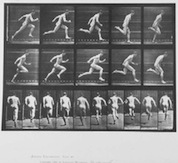 One of the first moving films and early anthropologic studies