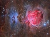 The M42 Nebula