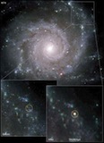 Supernova of a Star in Galaxy M74
